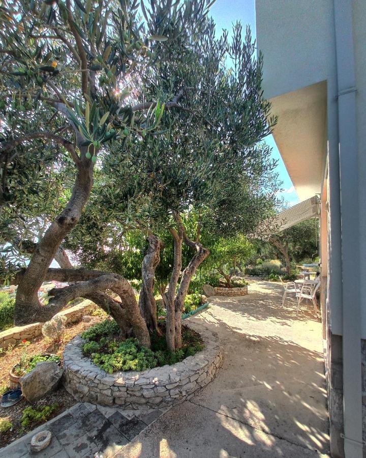 Apartamento Casa del Olivo Tučepi Exterior foto